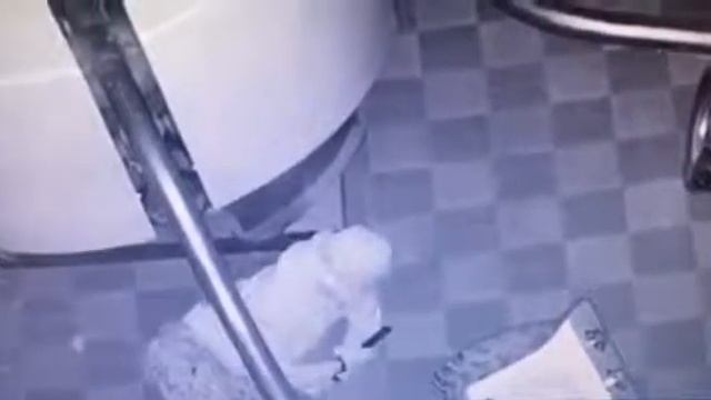 Неизвестные поснимали колёса с аттракциона в ставропольском парке смотреть онлайн