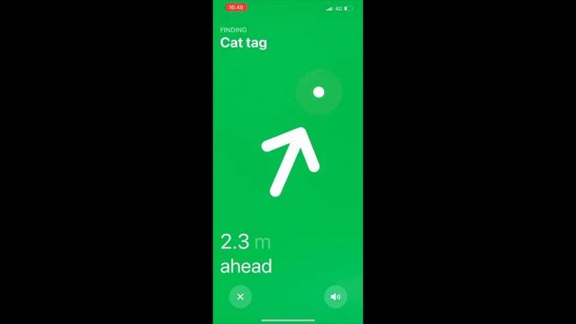 Can Apple's 'AirTag' help to track a cat ? (1/2) [eng sub] смотреть онлайн
