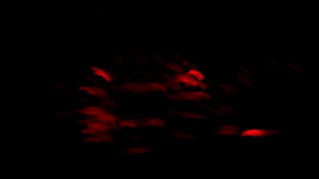 Toyota celica noises смотреть онлайн