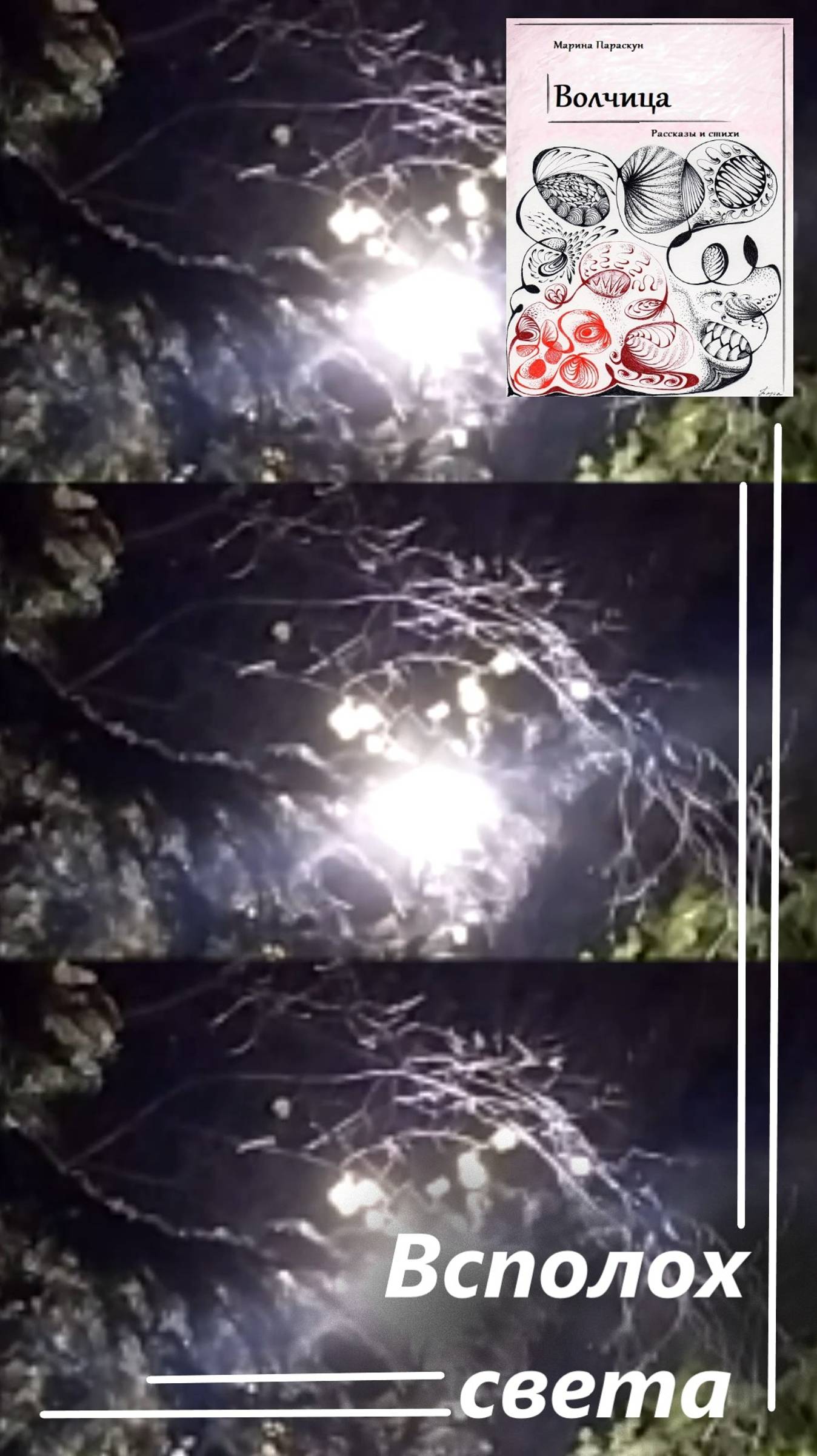 Открыть "Всполох света"… #shorts смотреть онлайн