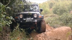 JEEP WRANGLER TJ 4.0  **OFFROAD**