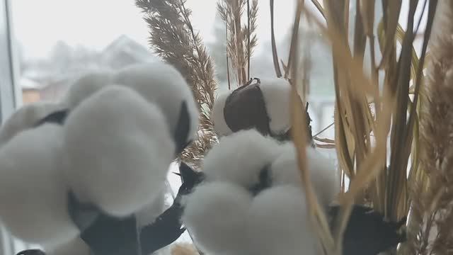 Покупки к Новому году! В зимнем саду! Прогулка с Алисой! смотреть онлайн