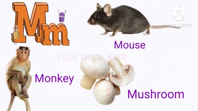 Alphabets/ Abc/Alphabet/ phonics song/ A for apple/ Learn english for kids/ Alphabets for beginners смотреть онлайн