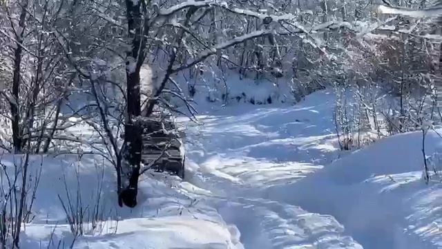 Great wall deer g3 8 января 2024 г. смотреть онлайн
