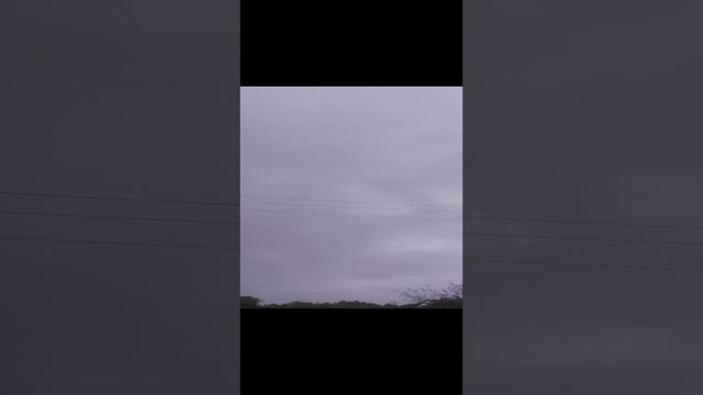 VID_20241014_063958.mp4