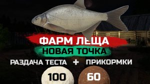ФАРМ СЕРЕБРА. ЛЕЩ ● Новая точка на Остроге ● Русская Рыбалка 4