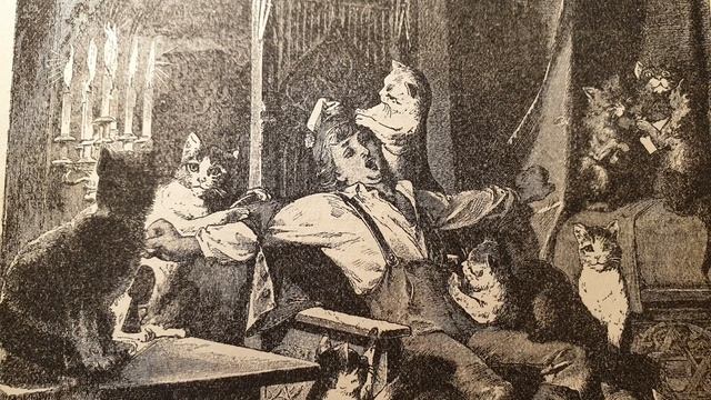 Бѣдный батракъ и кошечка смотреть онлайн