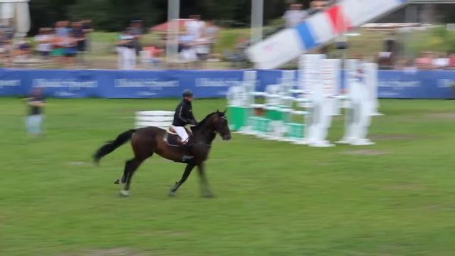 Velvote des Aubiers Jaguar Mail Daniel Faille Championnat de France am élite Fontainebleau 2016 2 смотреть онлайн