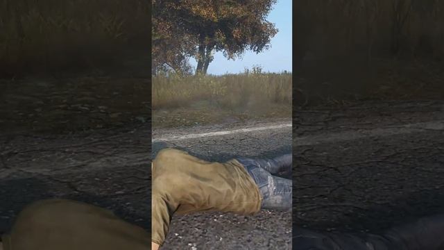 Попытка остановить конвой #dayz #дейз смотреть онлайн