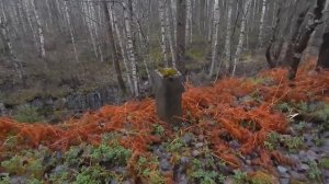 Поход к месту расстрелов НКВД - Койранкангас. Территория Ржевского полигона.