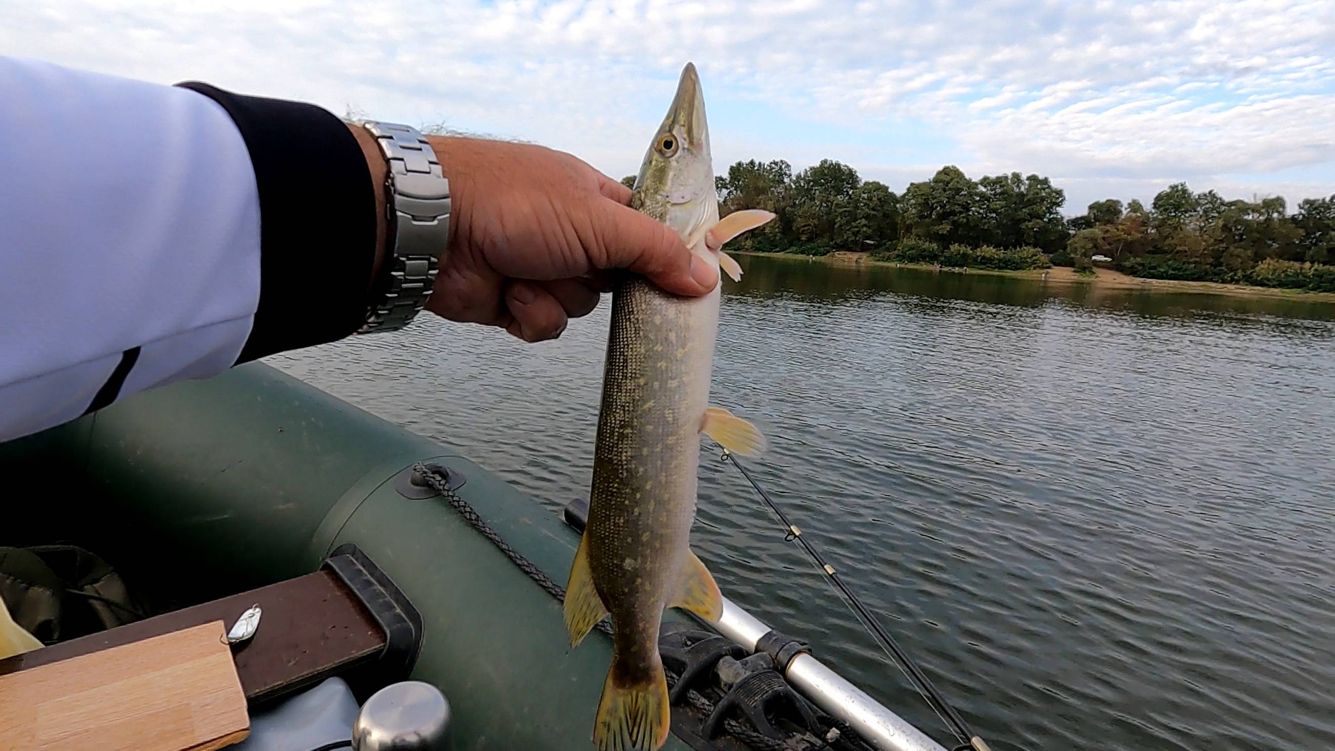 Рыбалка на Беляевских карьерах,джиг спиннинг,опять классно клевало! 24.09.24