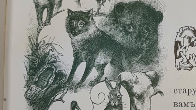 Русская народная сказка. «Сказка про Лису Патрикеевну. Присказка». смотреть онлайн