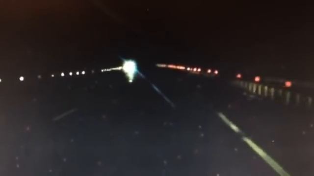 Тигрята на дороге в Хасанском районе смотреть онлайн