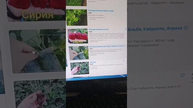 почему я не покупаю рассаду в стаканчике))) смотреть онлайн