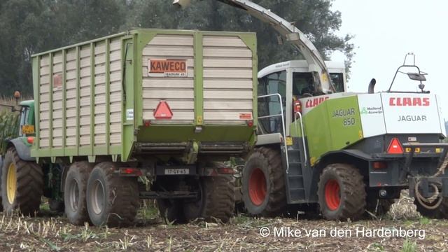 Mais 2015 | Claas Jaguar 850 | John Deere | Claas Cargos | Krone ZX 470 GD | Meiland Azewijn. смотреть онлайн