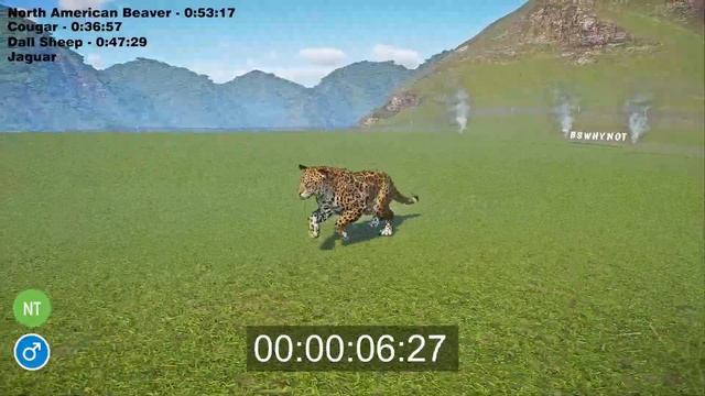 USA Animals Speed Races In Planet Zoo Included Jaguar, Cougar, Moose, Wolf, Sheep