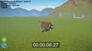 USA Animals Speed Races in Planet Zoo included Jaguar, Cougar, Moose, Wolf, Sheep