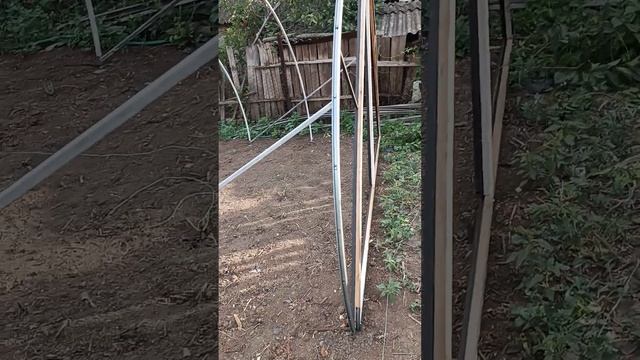 закрываем торцы парника плёнкой #теплица #балаган #парник #клубника #дача #garden #сад #лето смотреть онлайн