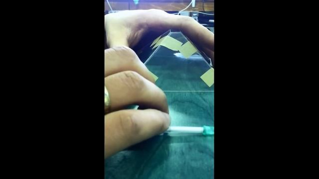 iPhone 3D Hologram pyramid смотреть онлайн