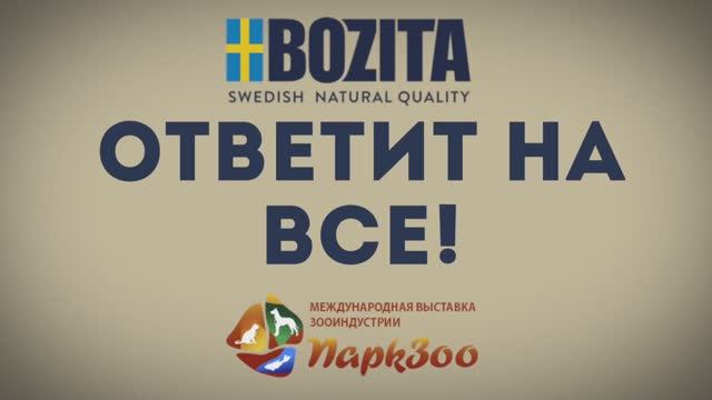 Bozita ответит на все вопросы - выставка смотреть онлайн