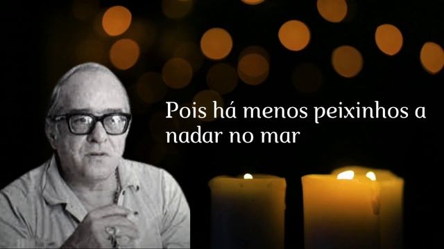 🔴🔛💭VINICIOS DE MORAIS, UMA LINDA POESIA CHEGA DE SAUDADE 📚💭🔴 смотреть онлайн