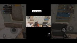 белое письмо в метро рояль . pubg mobile