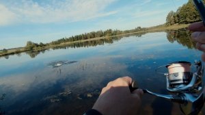 Как искать водоемы с хищником, какие приманки применять на незнакомом водоеме [Пора ловить щуку]