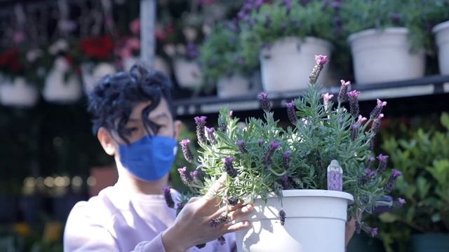 Purple iPhone 12 Unboxing + Spring Flowers + Purple Cocktail смотреть онлайн