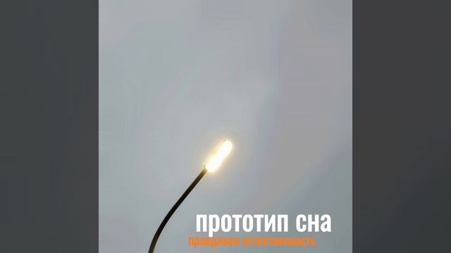 Опавшие листья