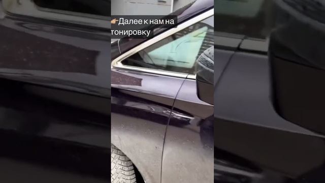 Нежданчик приехал #elvingrey смотреть онлайн