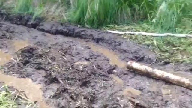 VID 20170618 WA0018 смотреть онлайн