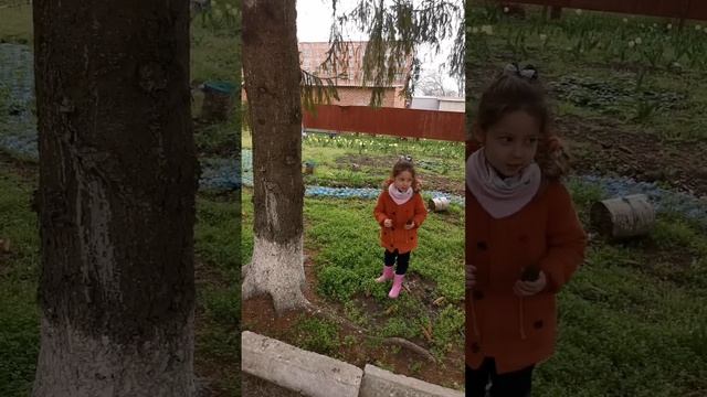 Куковская Виктория, МКДОУ дс 2 смотреть онлайн