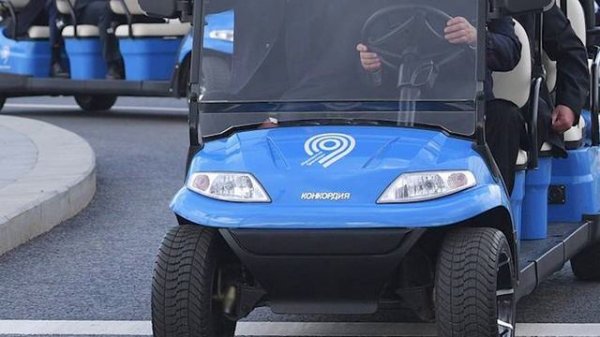 Конкордия 2024