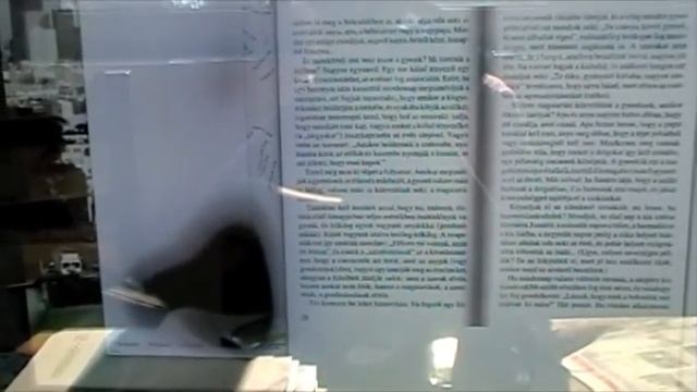 27" iMac Display turns black on direct sunlight смотреть онлайн