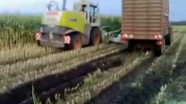Claas Jaguar 900 Hakselaar смотреть онлайн