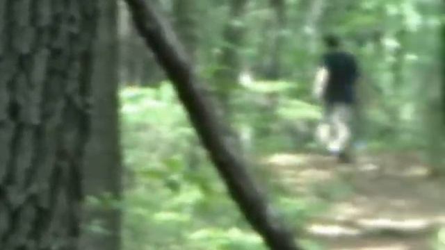 Lincoln Assassination смотреть онлайн