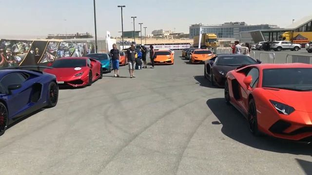 INSANE Lamborghini Supercar Rally at Dubai Autodrome with some Crazy Revving! смотреть онлайн