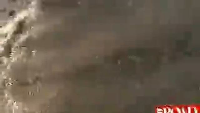 Iveco Massif - Land Rover Defender - Toyota Land Cruiser - Mercedes G - Jeep Wrangler