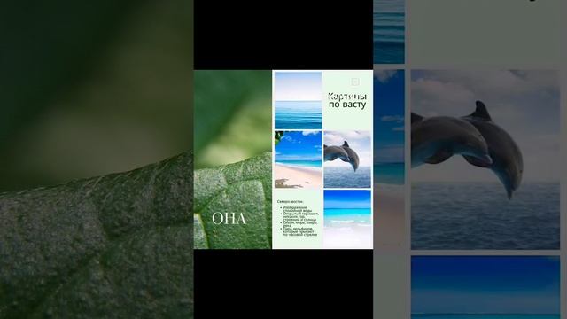 Картина, которая приносит удачу смотреть онлайн