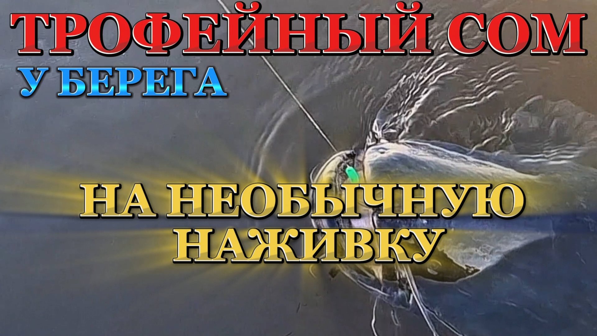 ТРОФЕЙНЫЙ СОМ НА КВОК НОЧЬЮ. Ловля сома. смотреть онлайн