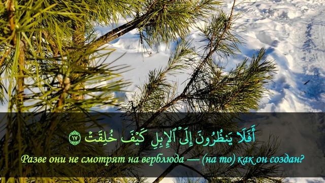 Спокойное чтение Корана для укрепления имана. Сура №88: «Аль-Гашия» - «Судный день». смотреть онлайн