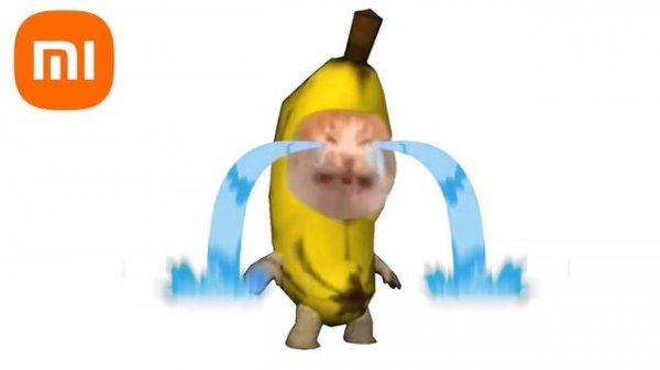 Famous phone ringtones but Memes Sing It