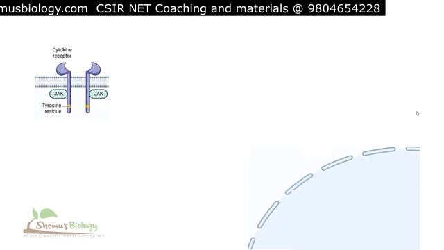 Jak stat signaling pathway animation смотреть онлайн