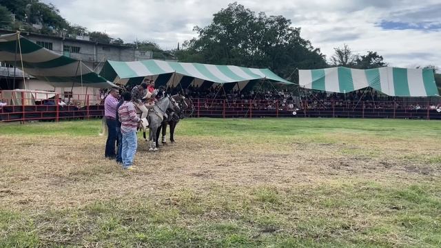 JARIPEO EN PUEBLA DIA 1|| CHITIN VENEGAS смотреть онлайн