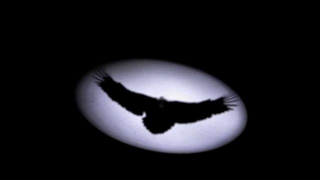 (free) Kanye West x Ty Dolla $ign x Vultures type beat "burn" (Prod. Sapjer) смотреть онлайн