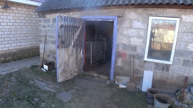 Тюлень🐖 шмалиться,ферми варяться,тюлені ждуть на виход генератор пихтить🙄 смотреть онлайн