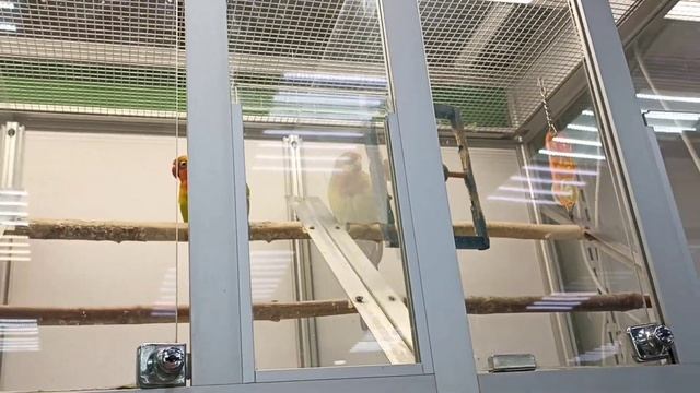 Поход по магазинам/прикупили вещичек💗/примерка одежды на куклу☺ смотреть онлайн