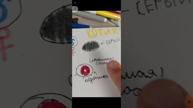 1000039618.mp4 смотреть онлайн