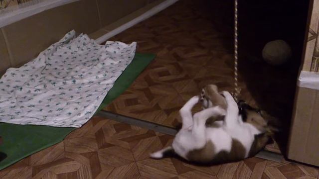 MOV 0174 смотреть онлайн