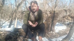 Как и кому принимать мухомор красный. От депрессии, от бессонницы , от зависимости, для иммунитета.